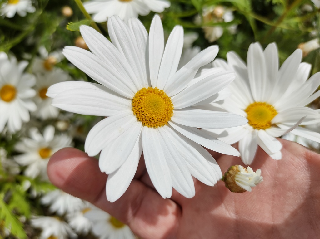 No s'ha trobat l'arxiu